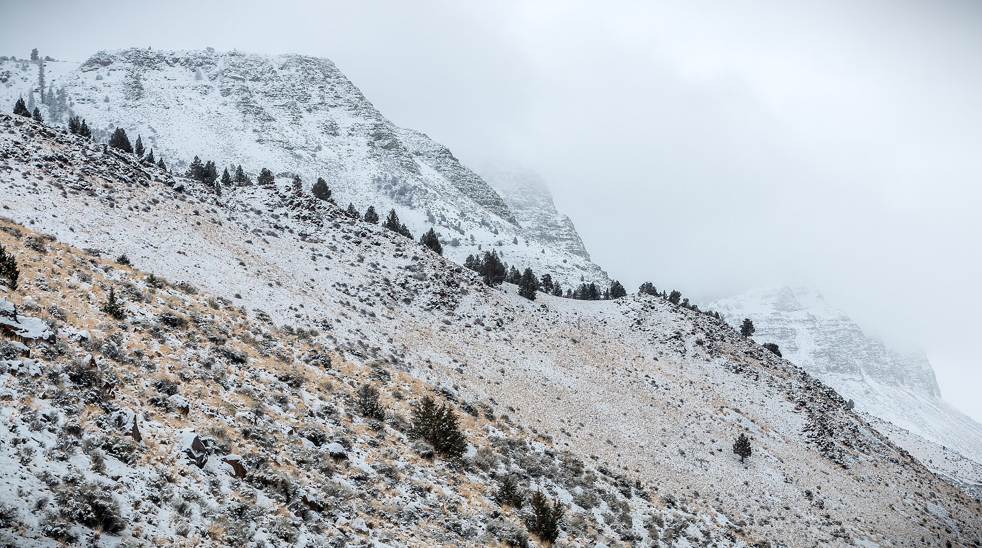 The basalt face of Abert Rim above the sage