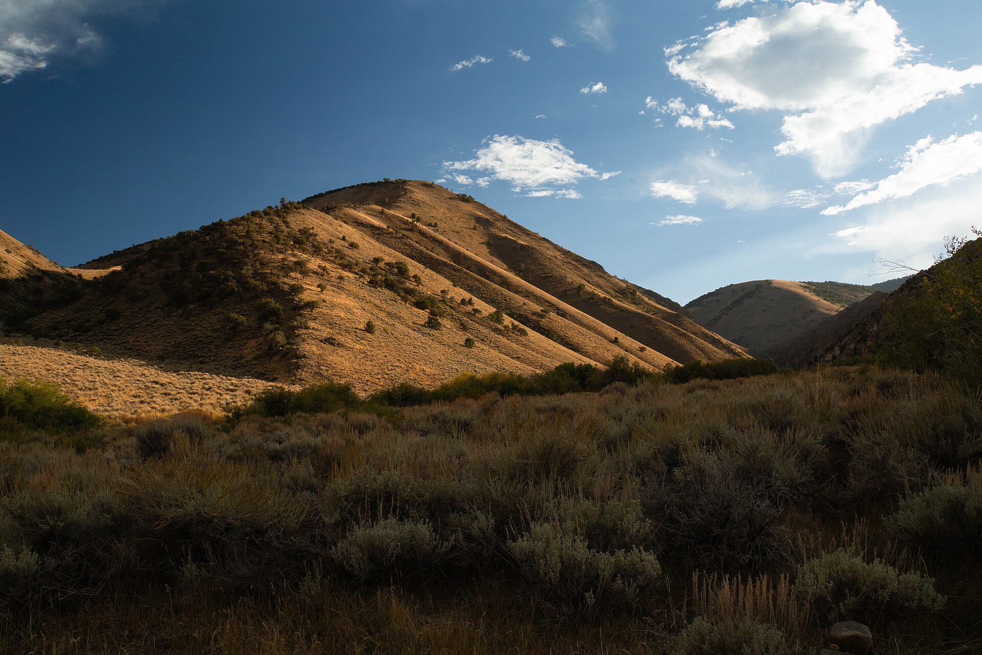 Arc Dome, Nevada