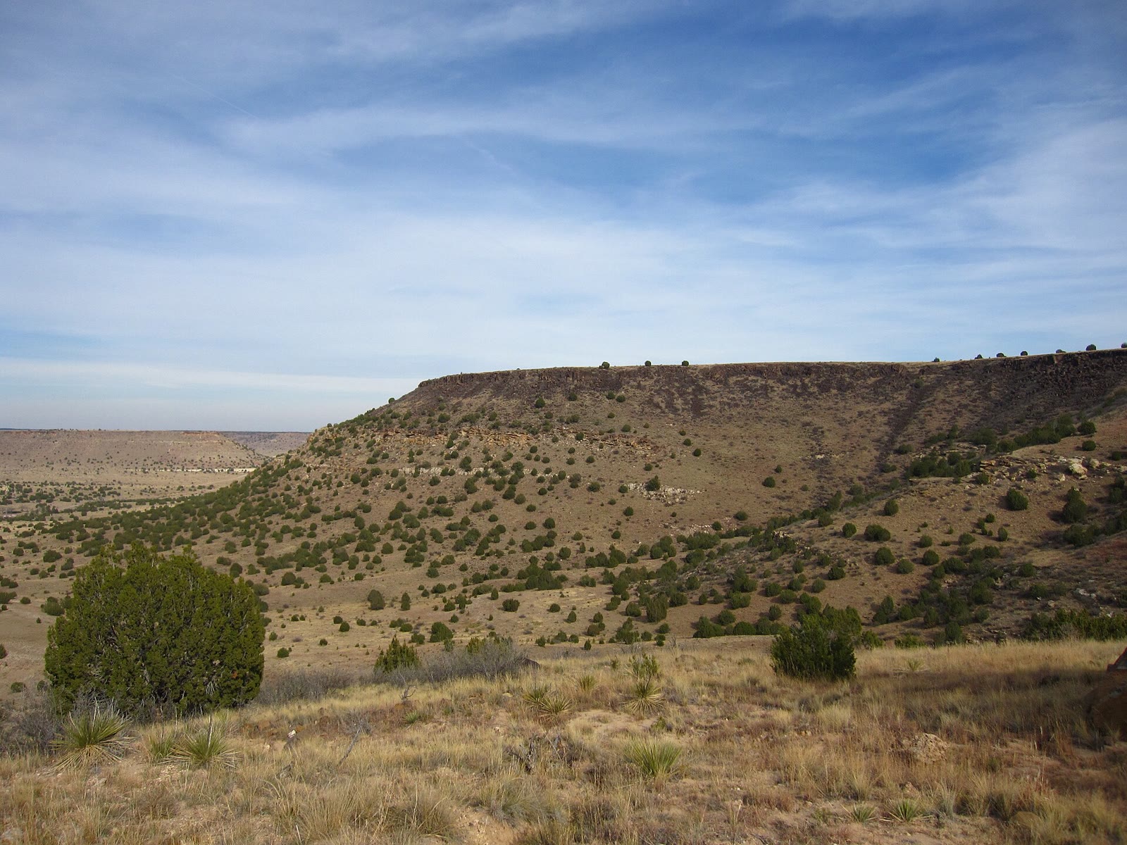 The dark rim and juniper slopes of Black Mesa, Oklahoma