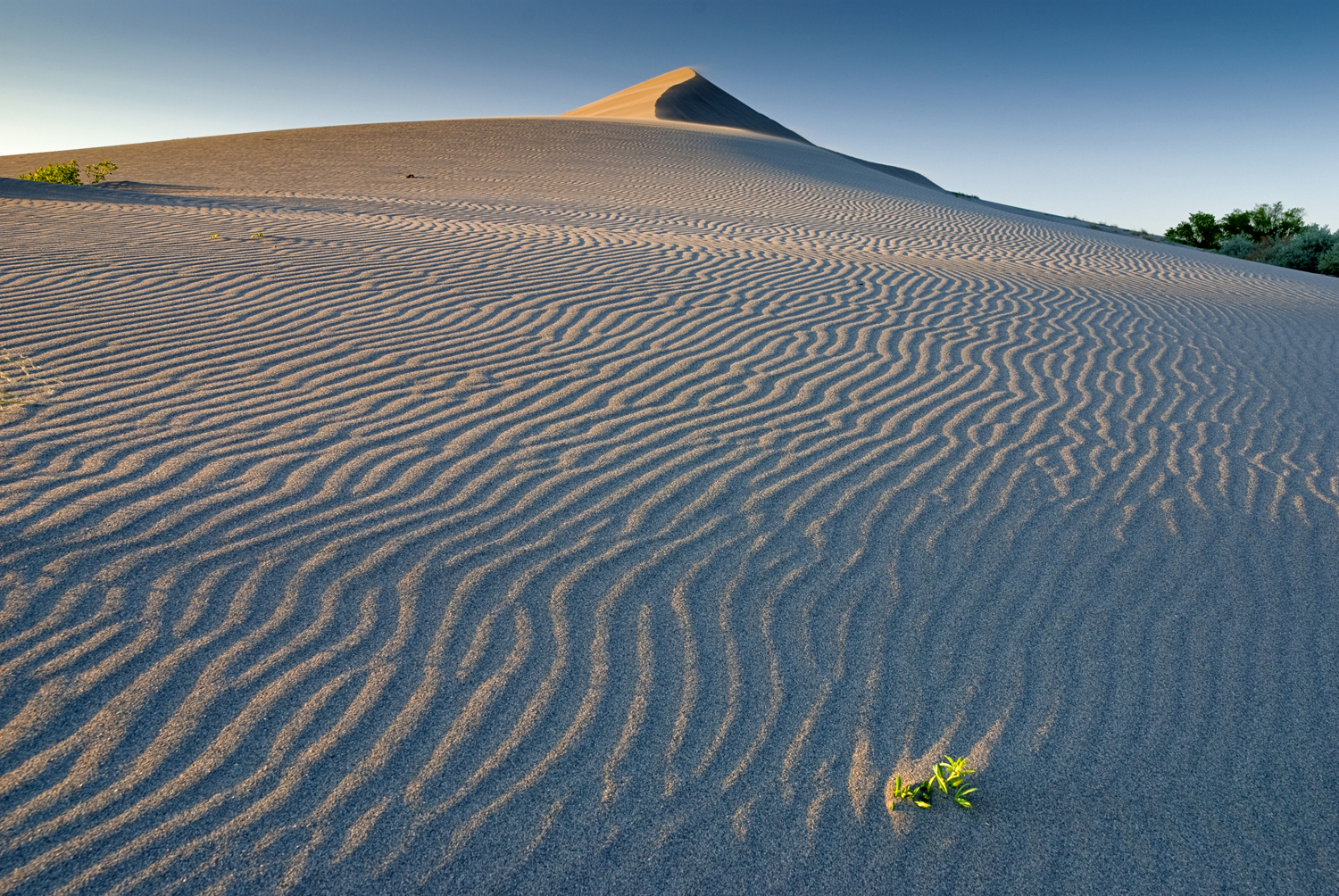 Bruneau Dunes, Idaho
