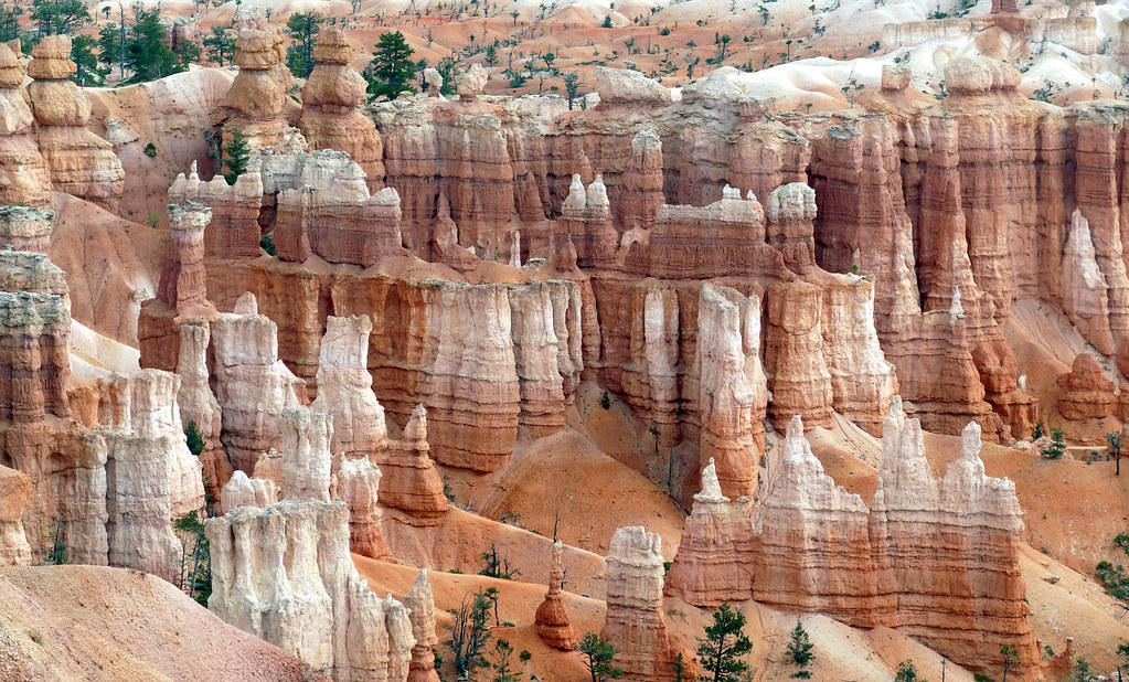 Close ranks of fairy chimneys