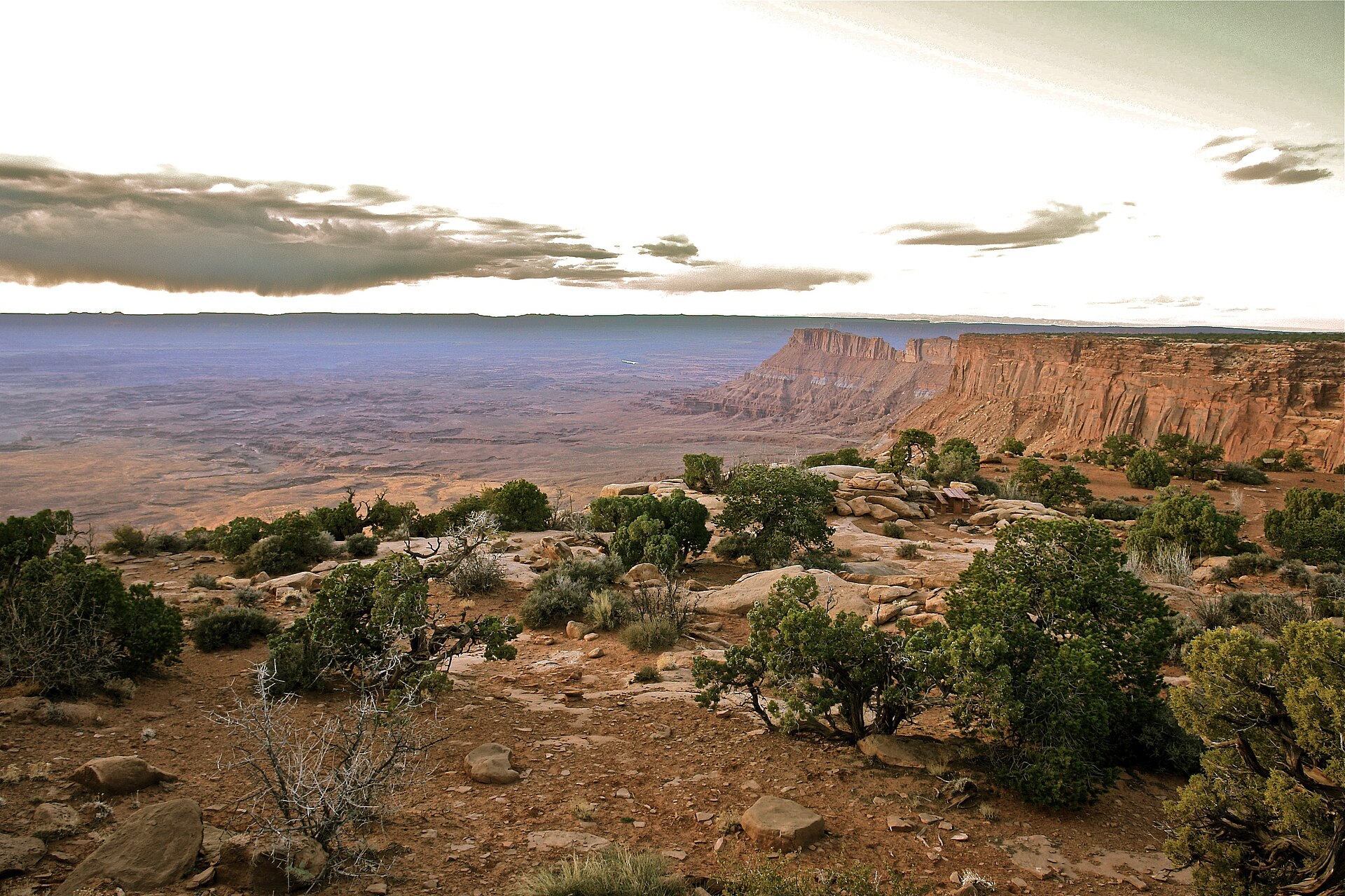 Juniper on Hatch Point looking into Canyonlands country