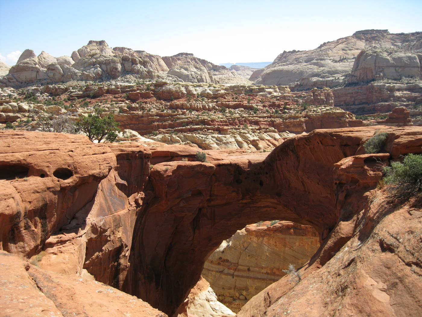 Cassidy Arch, Utah