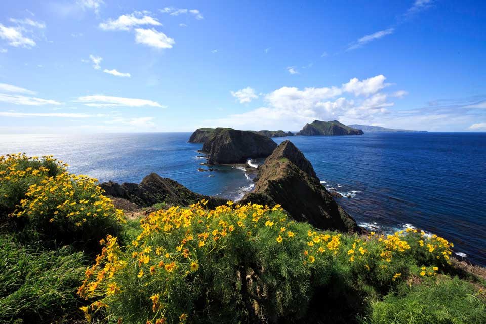 Anacapa’s spine from a spring hillside