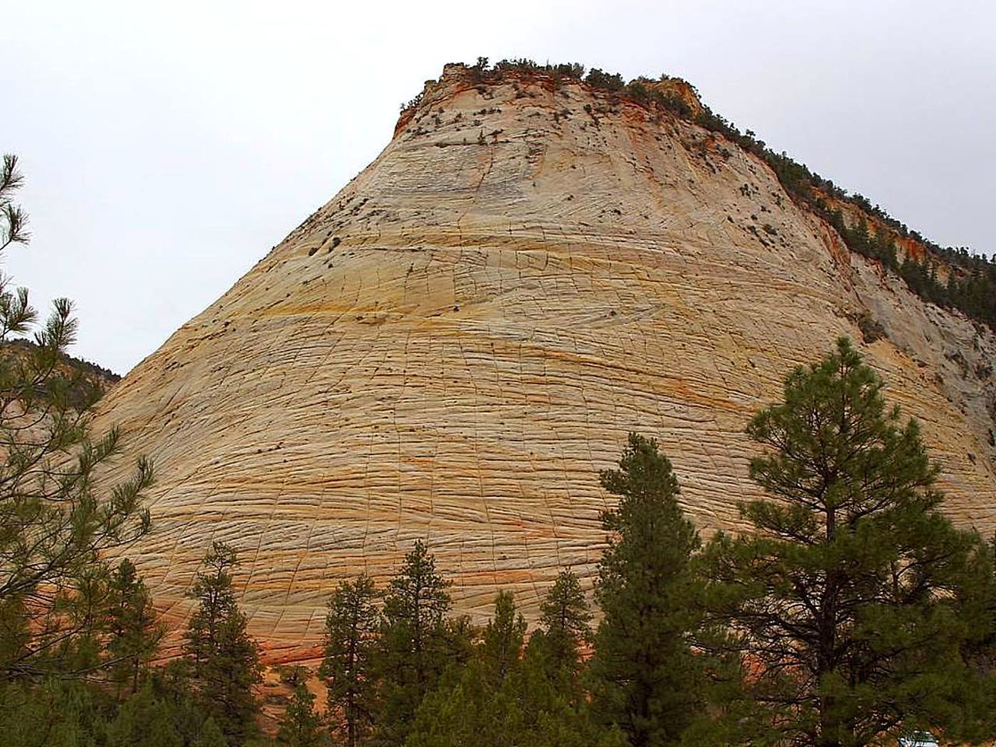 Checkerboard Mesa, Utah
