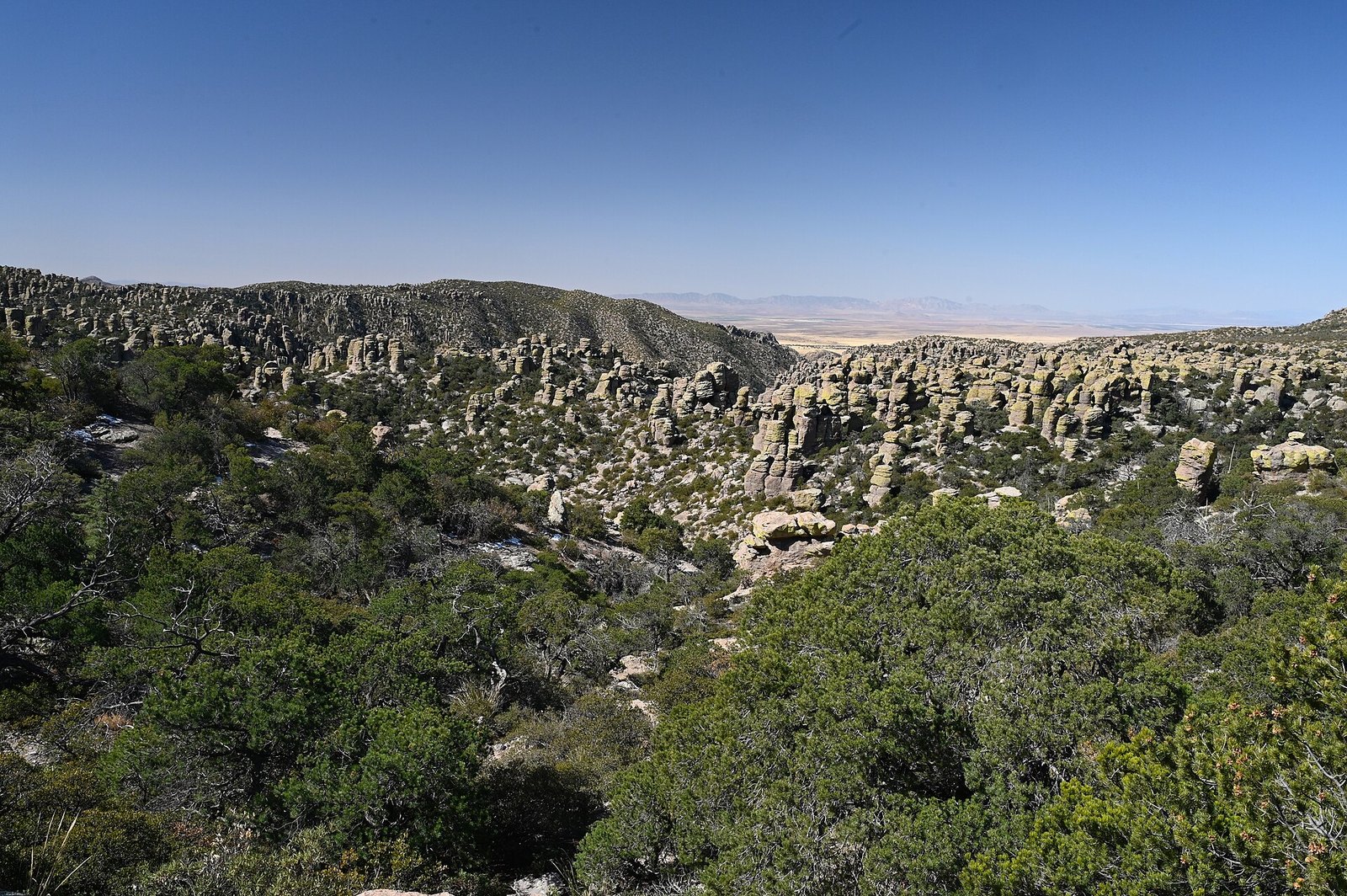 Chiricahua, Arizona
