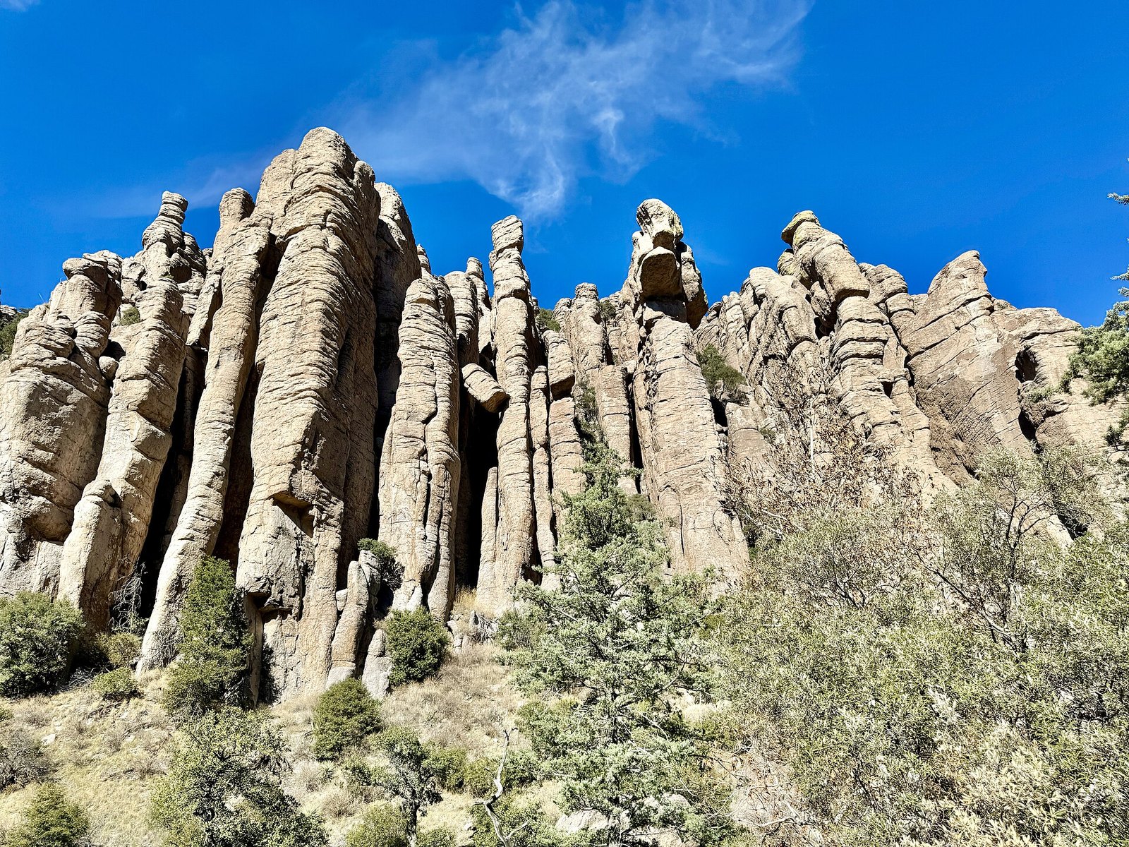 Organ-pipe rhyolite rising in close ranks