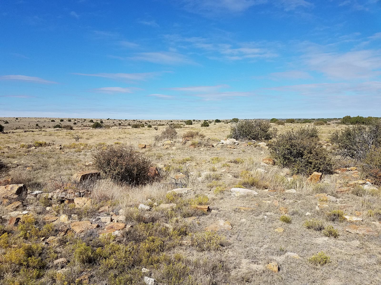 Rocky shortgrass under a Kansas sky, Cimarron National Grassland