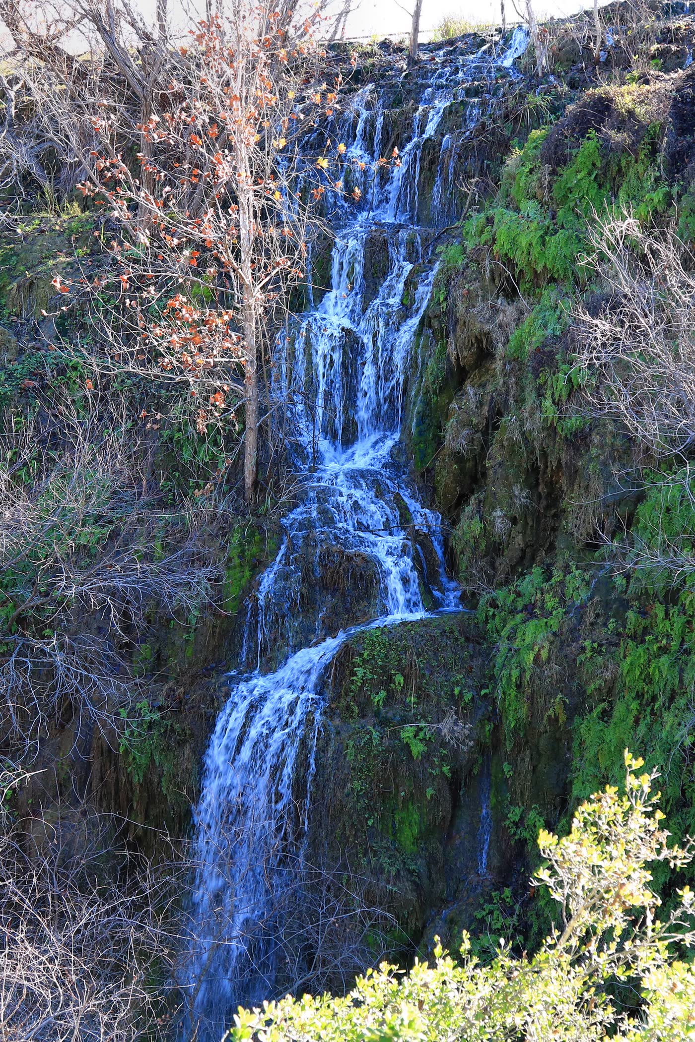 Gorman Falls on mossed travertine, Colorado Bend