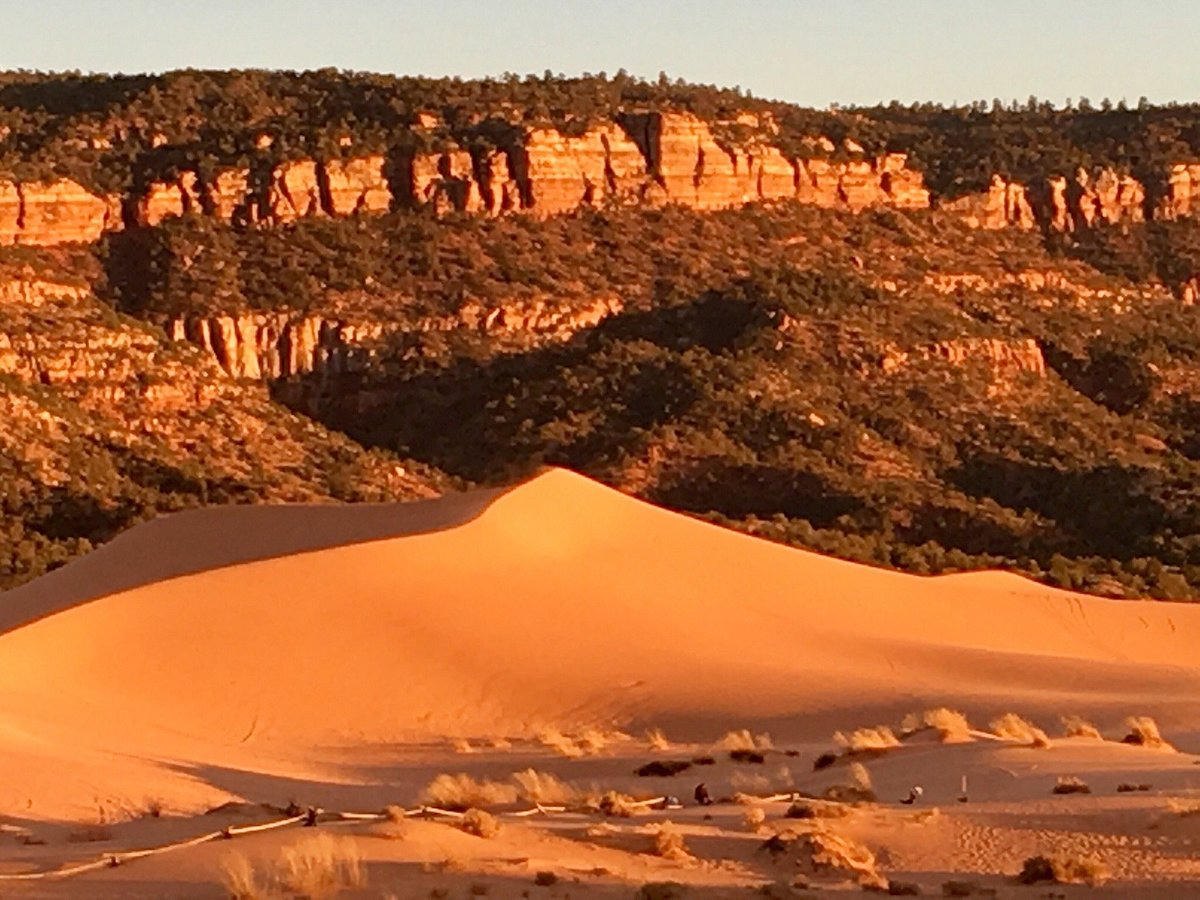 Coral Pink Dunes, Utah