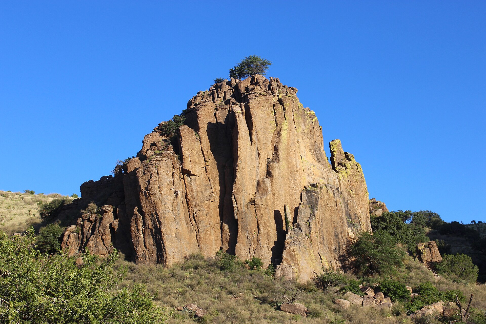 A columnar outcrop on a Davis Mountains slope