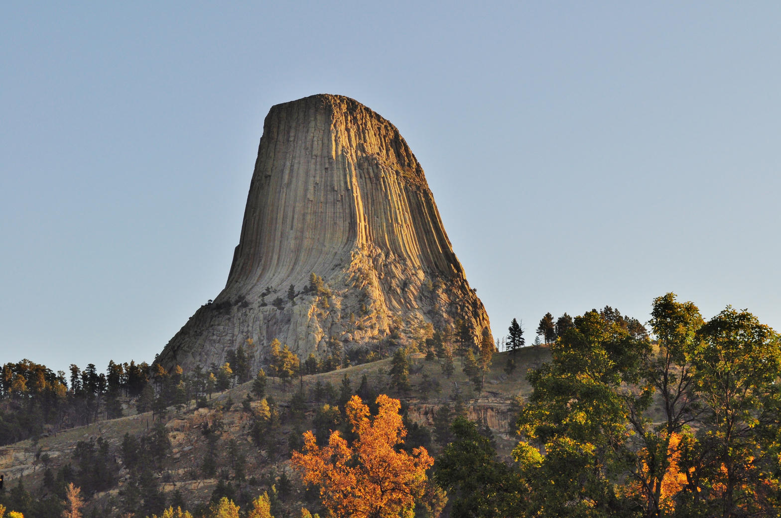 The tower in autumn cottonwood light