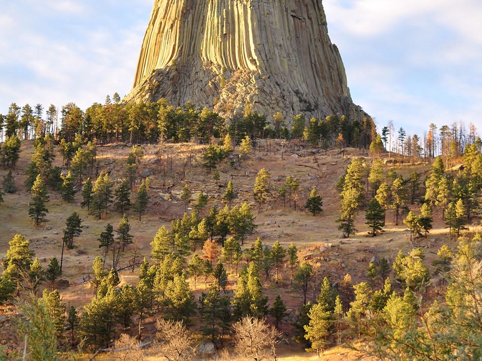 Columnar jointing above the pine slope