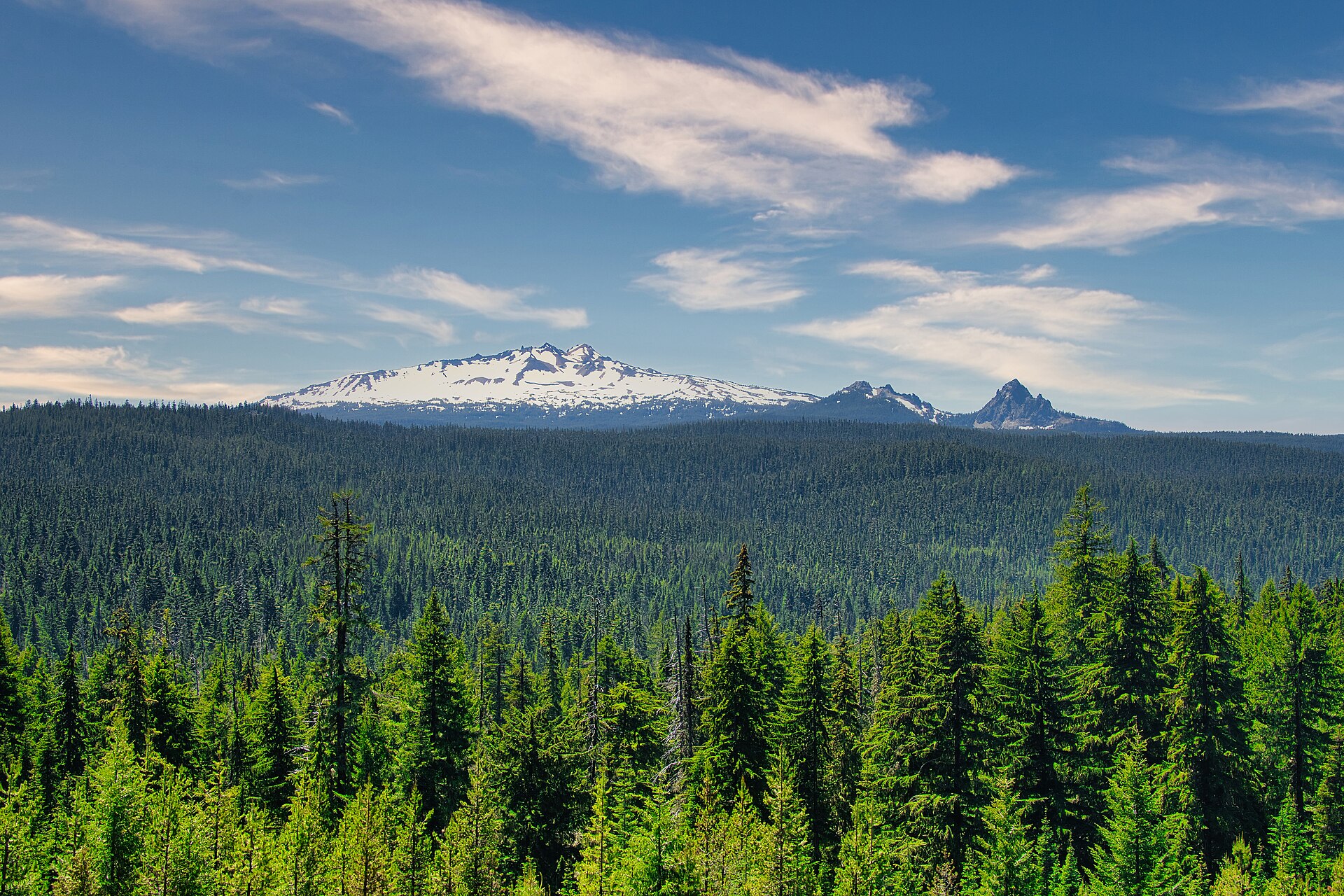 Diamond Peak over the Cascade fir sea