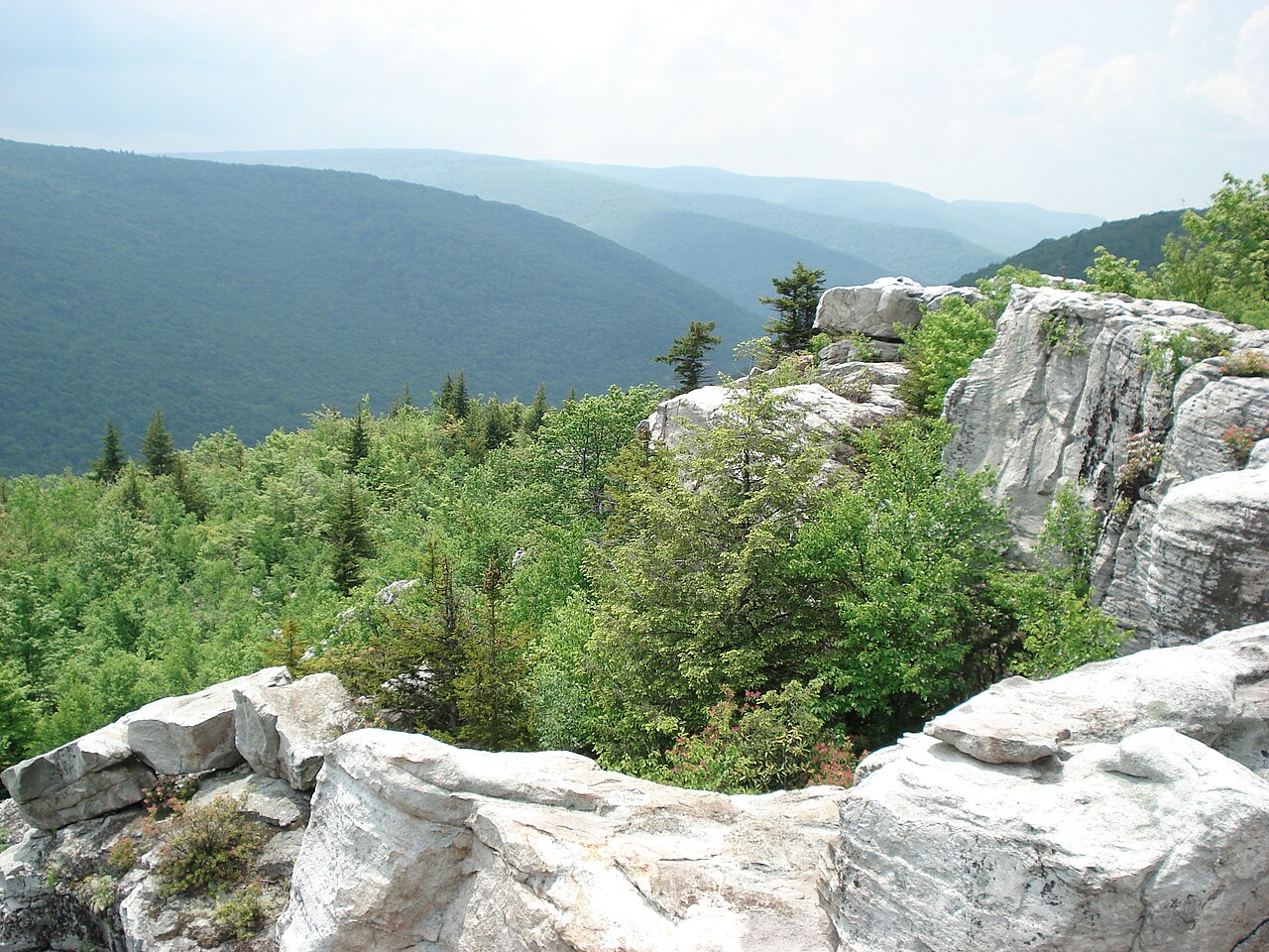 Dolly Sods, West Virginia