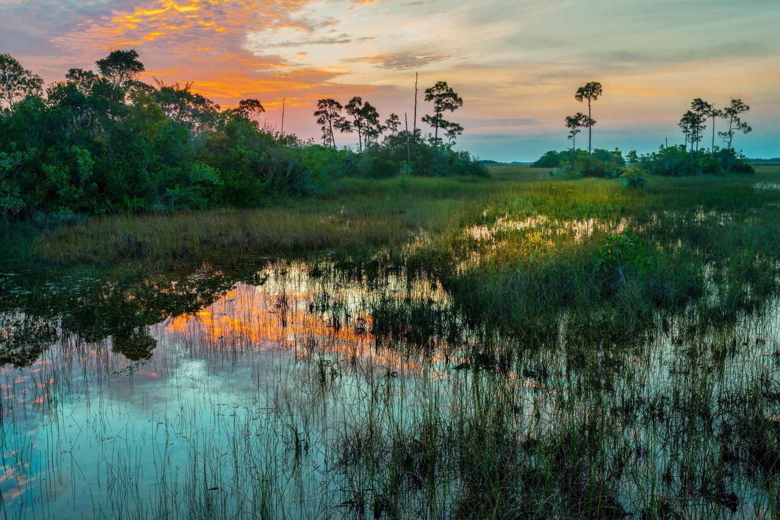 Sawgrass prairie at sundown