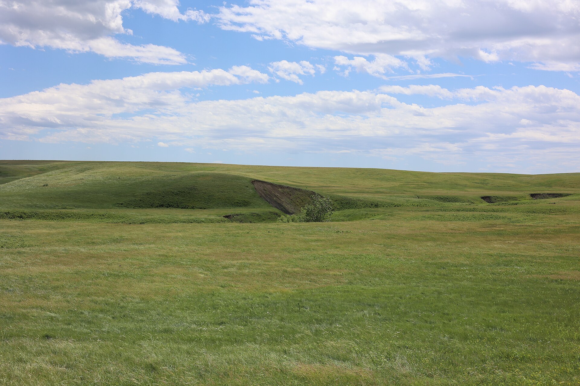 Rolling mixed-grass under a working sky, Fort Pierre National Grassland