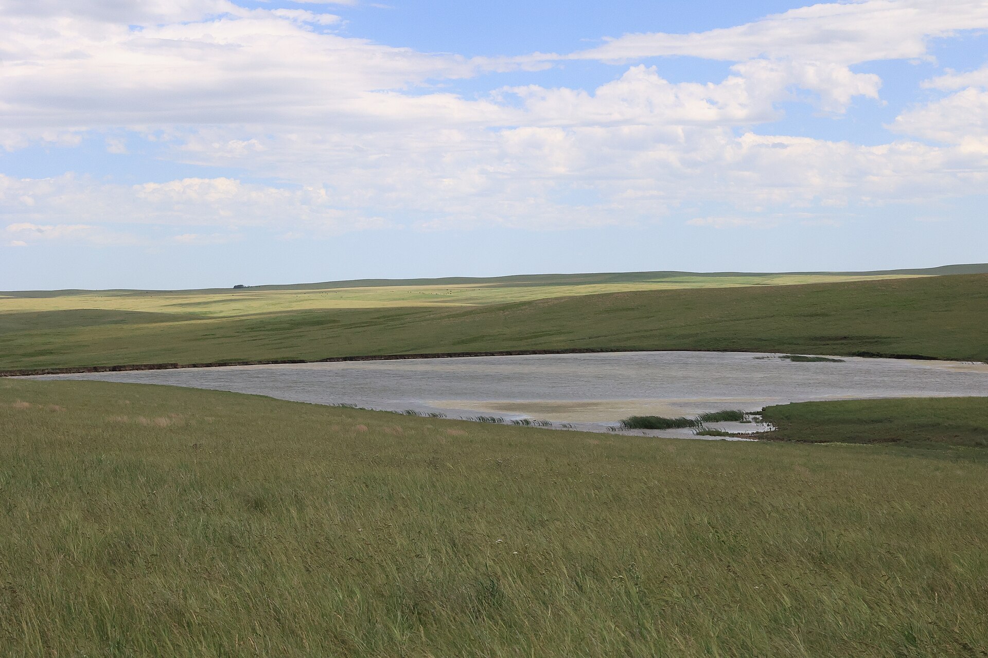 A prairie pond in the Fort Pierre hills