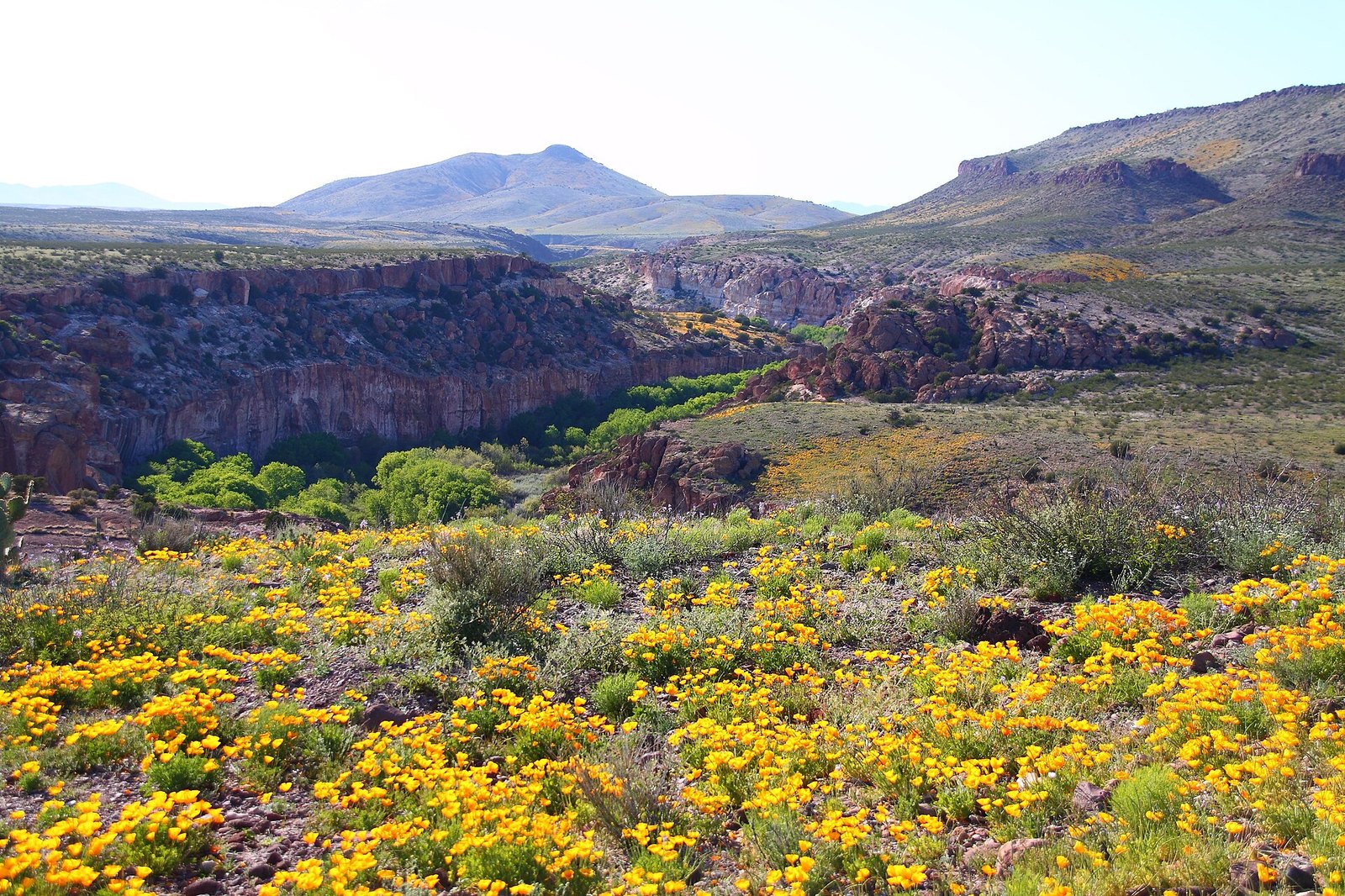 The Gila River in Lower Box Canyon