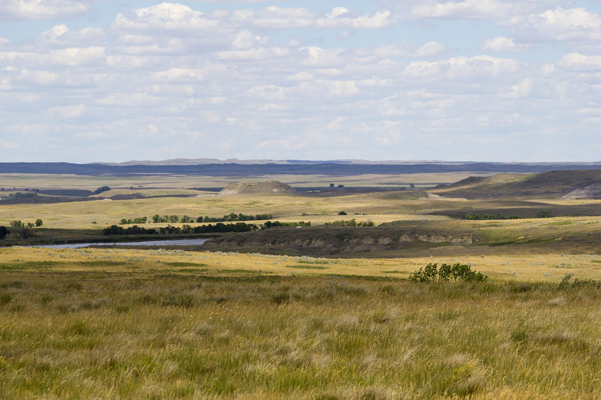Prairie, water, and a low butte on Grand River National Grassland