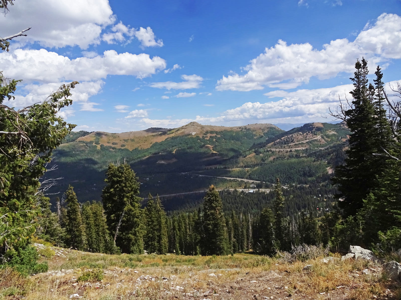 Scott Hill and Guardsman Pass from the ridge above Brighton