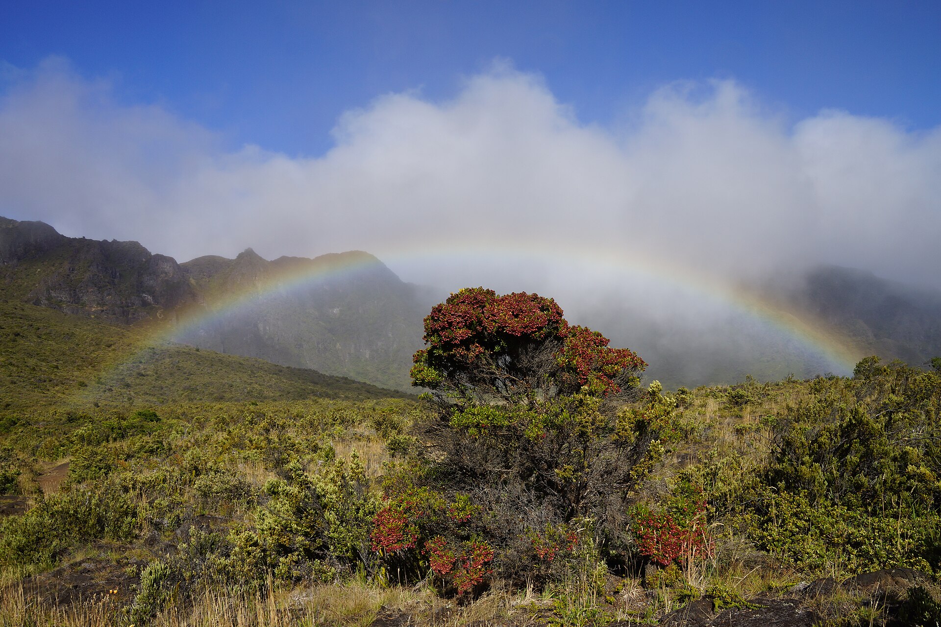 Haleakalā, Hawaii