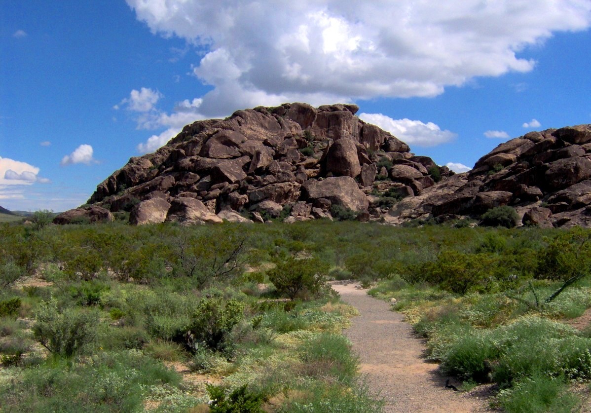 Syenite hill, wildflowers, and a desert trail at Hueco Tanks