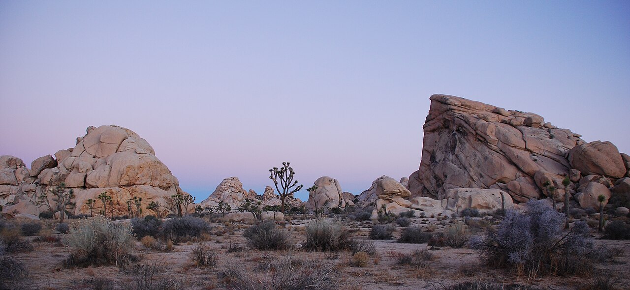 Joshua Tree, California
