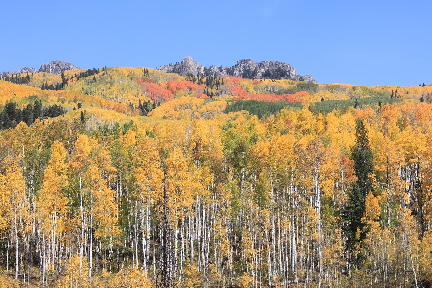 Kebler Pass, Colorado