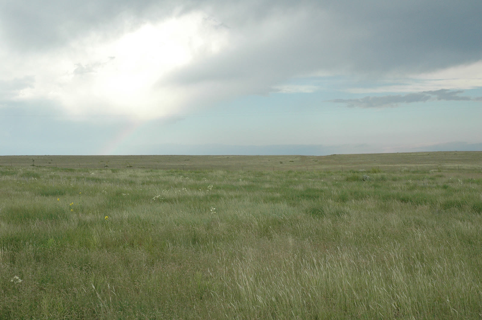 Prairie and a weather sky on Kiowa National Grassland