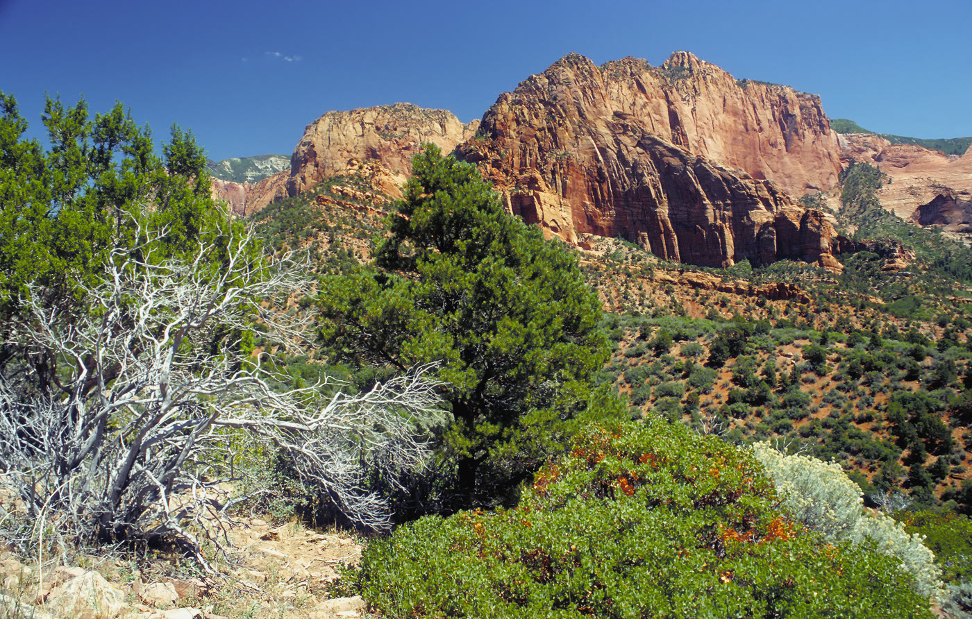 Kolob Canyons, Utah