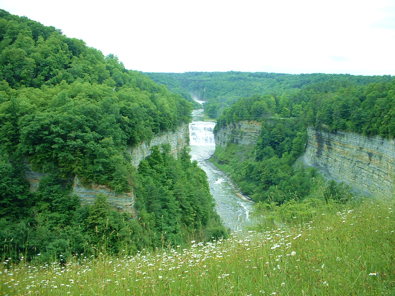 The Genesee Gorge from a Letchworth rim