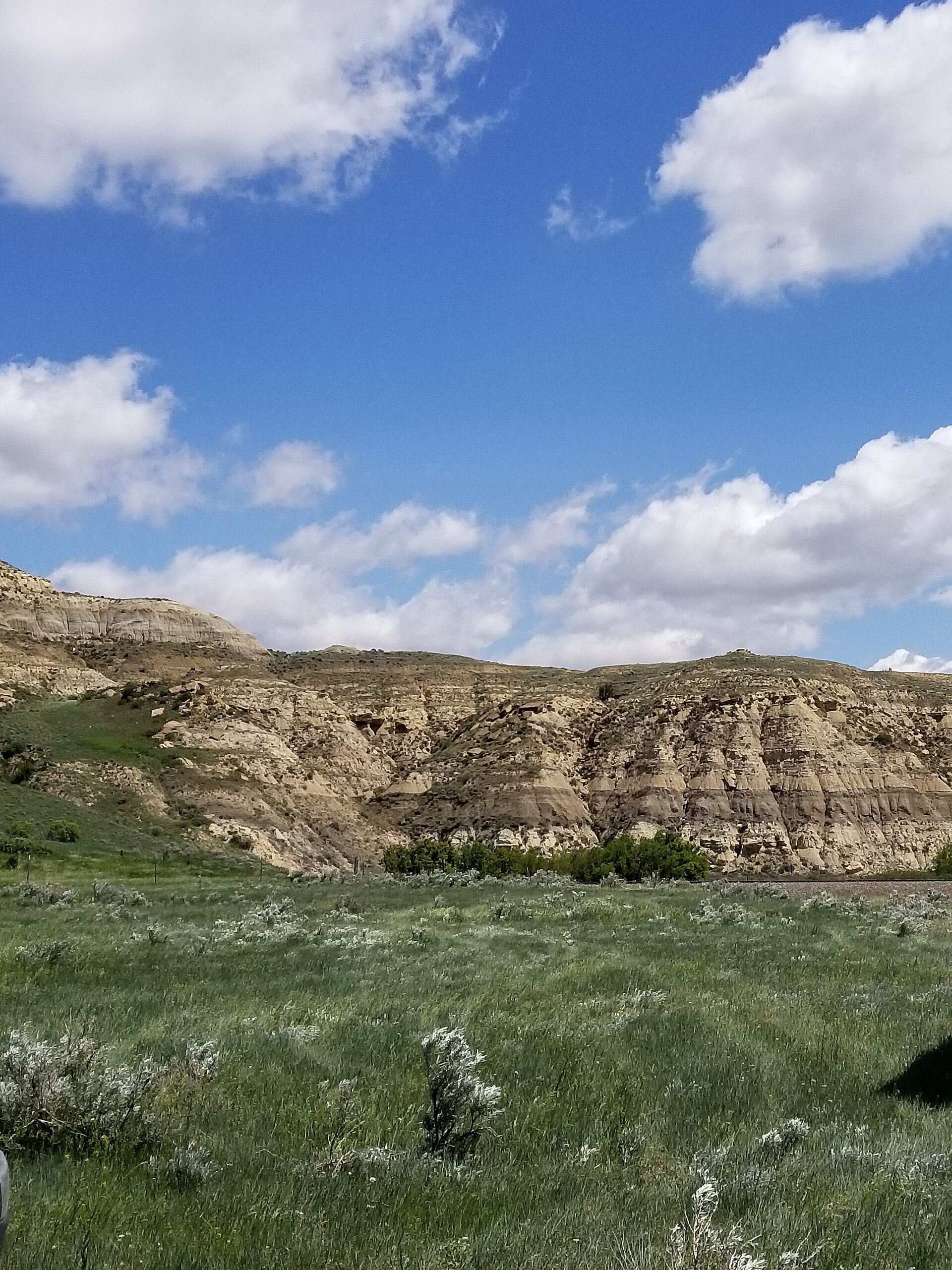 Green prairie against painted hills, Little Missouri National Grassland