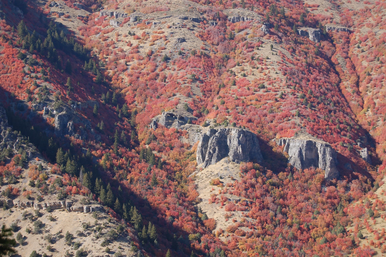 Wind Caves limestone arches across Logan Canyon from the Crimson Trail