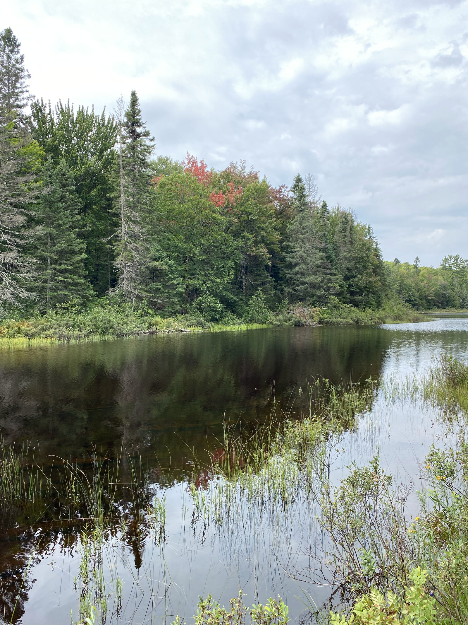 Early color at Lower Baraga Lake, McCormick Wilderness
