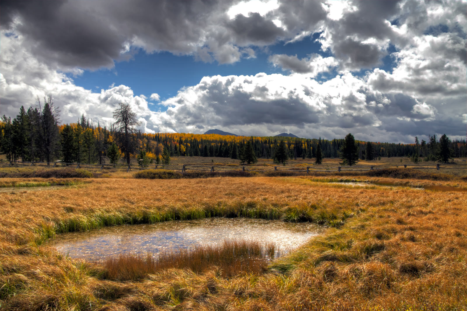 Aspen and a pond near Whitney Reservoir, off the Mirror Lake Highway