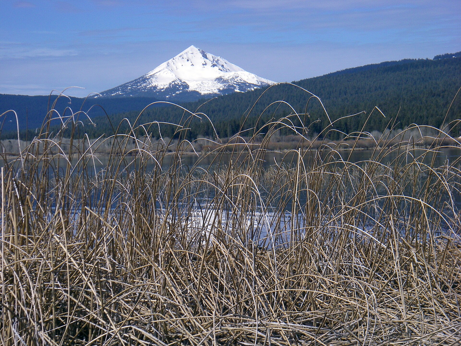 Mount McLoughlin from Upper Klamath Lake