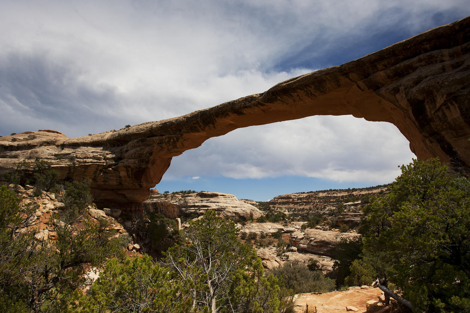 Owachomo Bridge spanning White Canyon