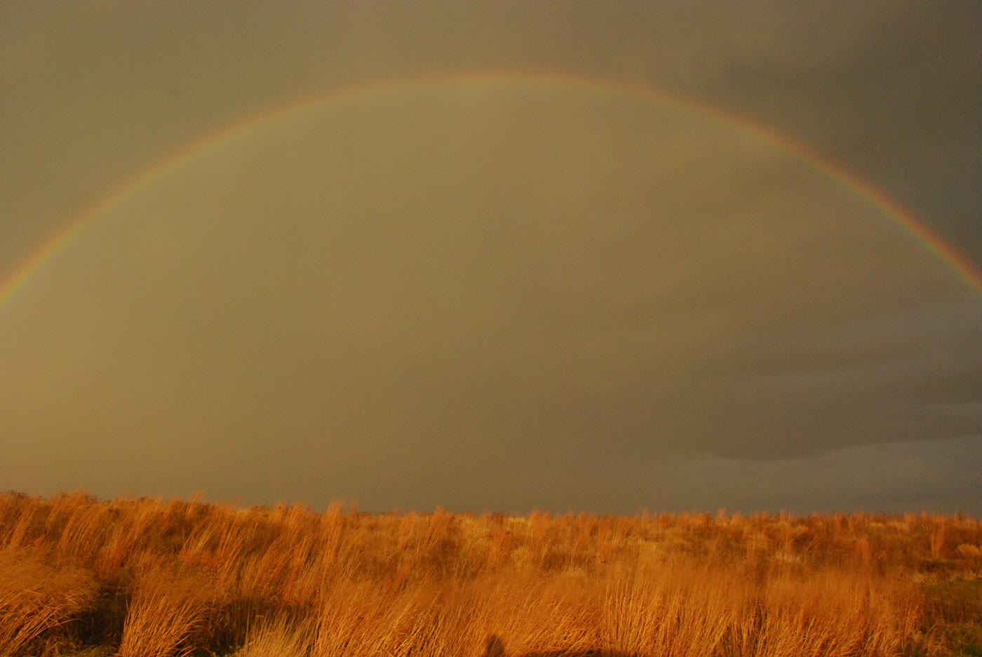 Rainbow over prairie grass at Neal Smith National Wildlife Refuge, Iowa