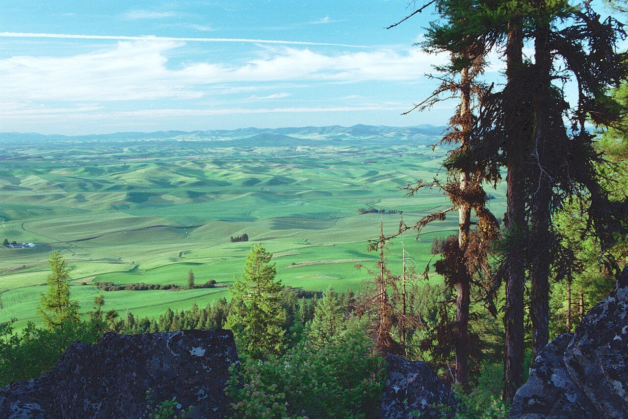 Autumn swells of the Palouse under a long sky