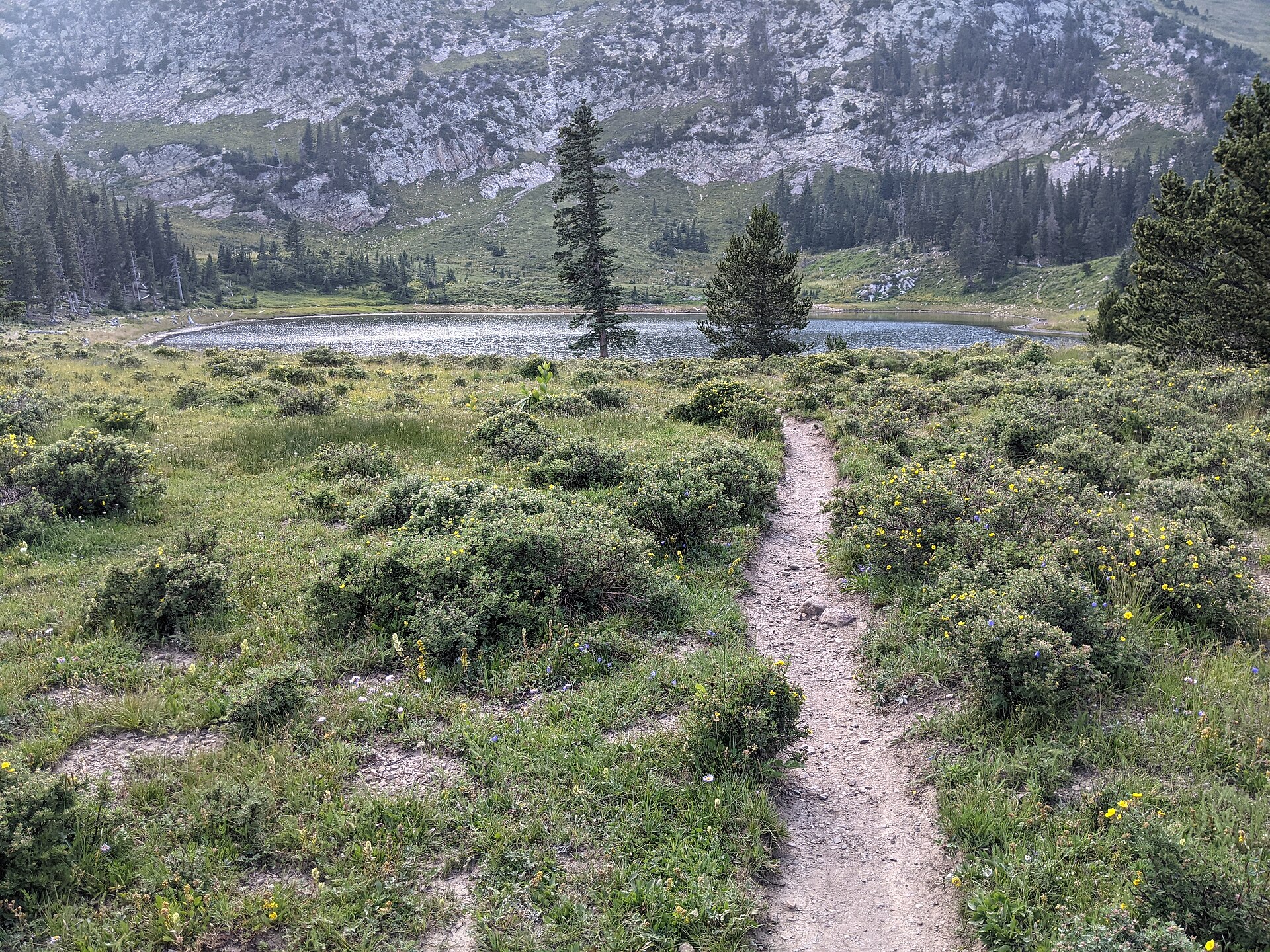 The Jacks Creek trail to Pecos Baldy Lake