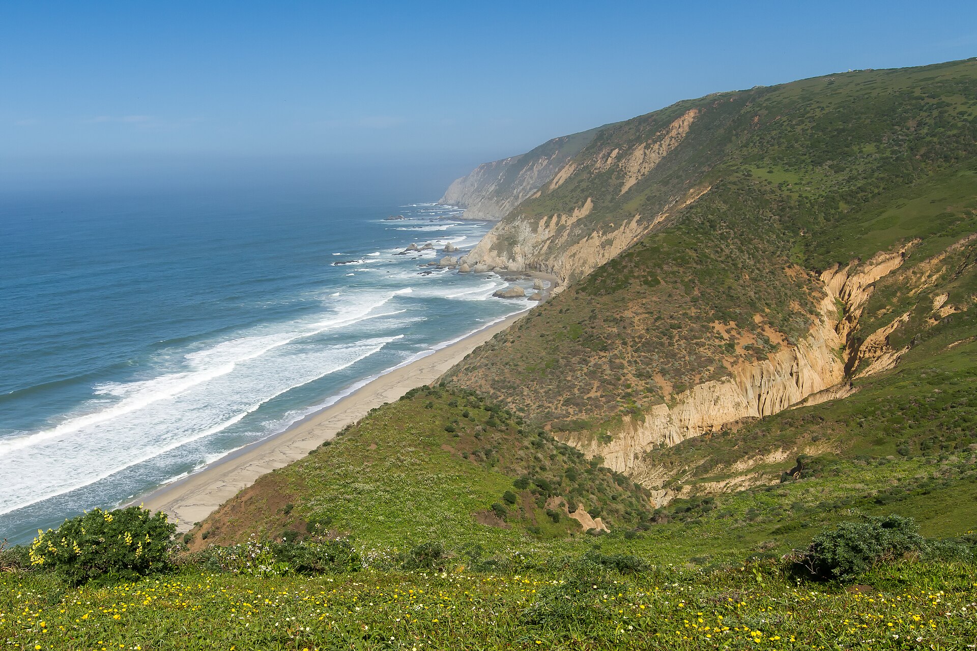 Tomales Point grass running to the Pacific