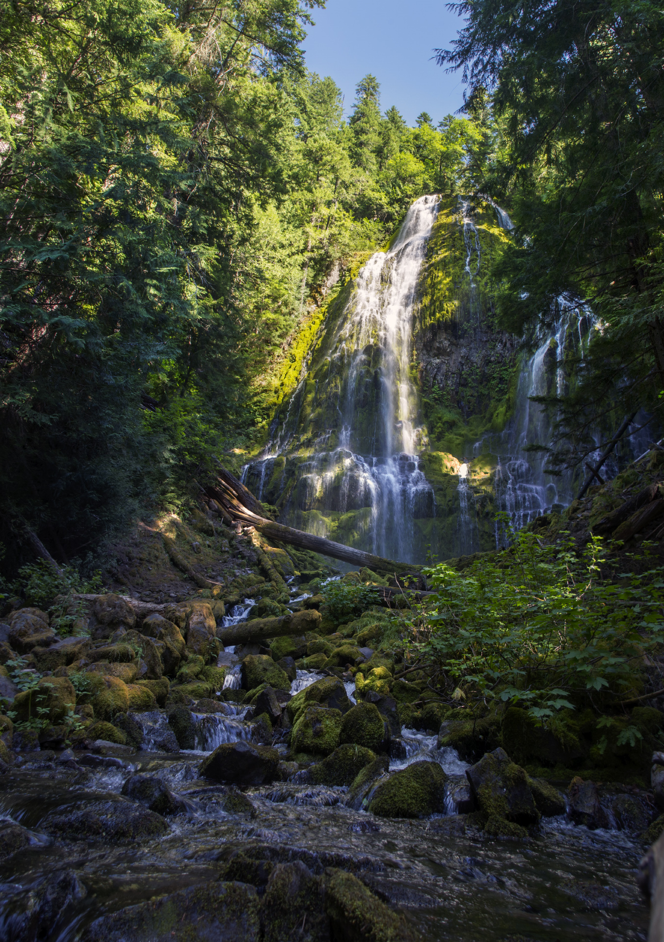 Upper Proxy Falls over mossed basalt
