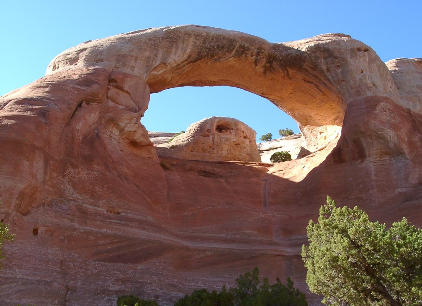 Cedar Tree Arch in Rattlesnake Canyon
