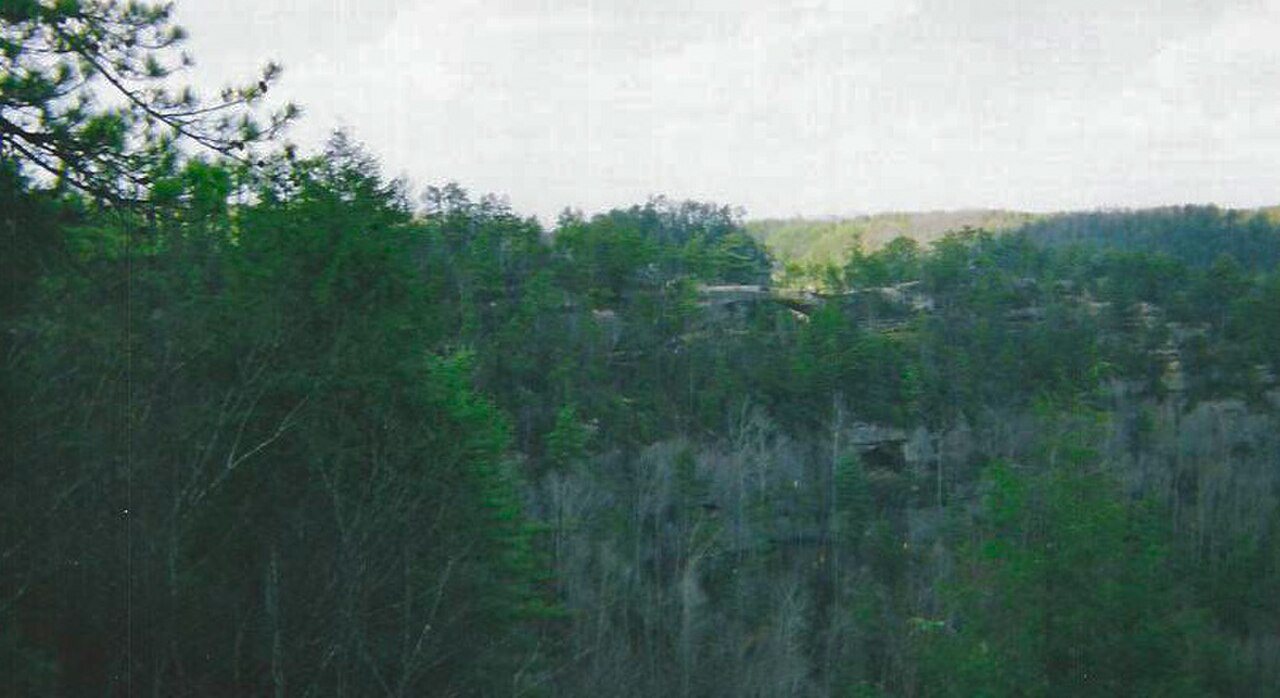 Sandstone arch framing a wooded hollow