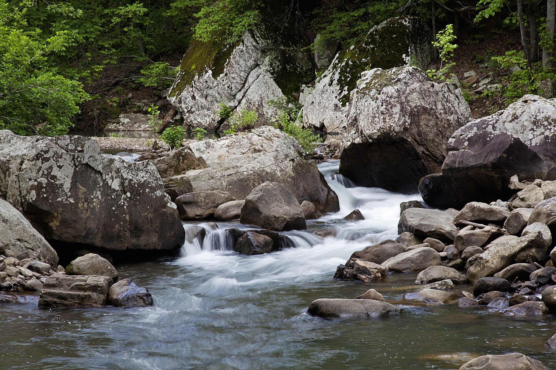 Richland Creek under hardwood in the wilderness