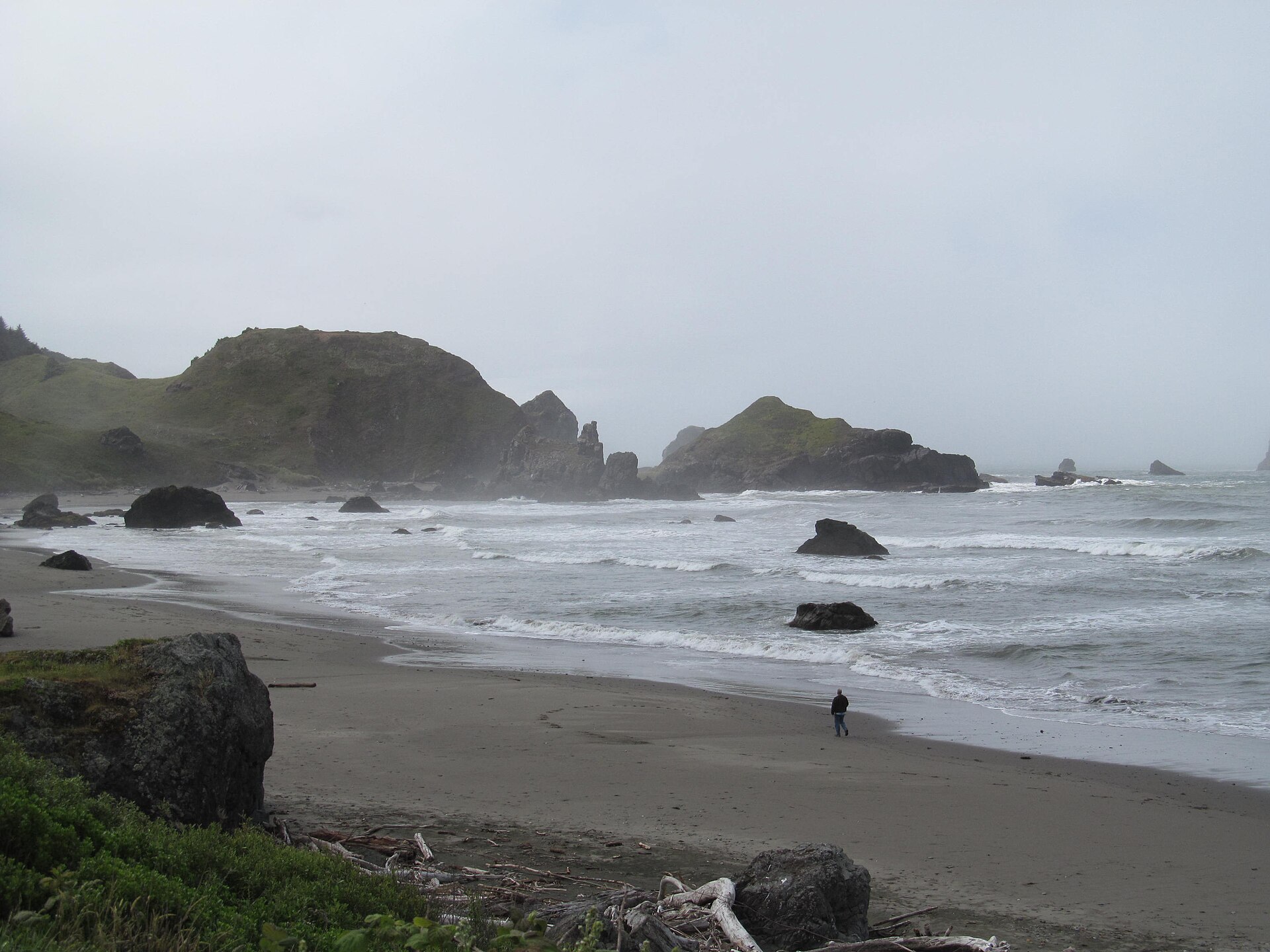 A fogged cove and sea stacks on the Boardman shore