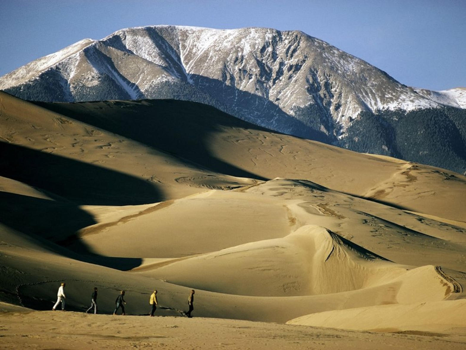 Dune crests under a snowy Sangre de Cristo wall