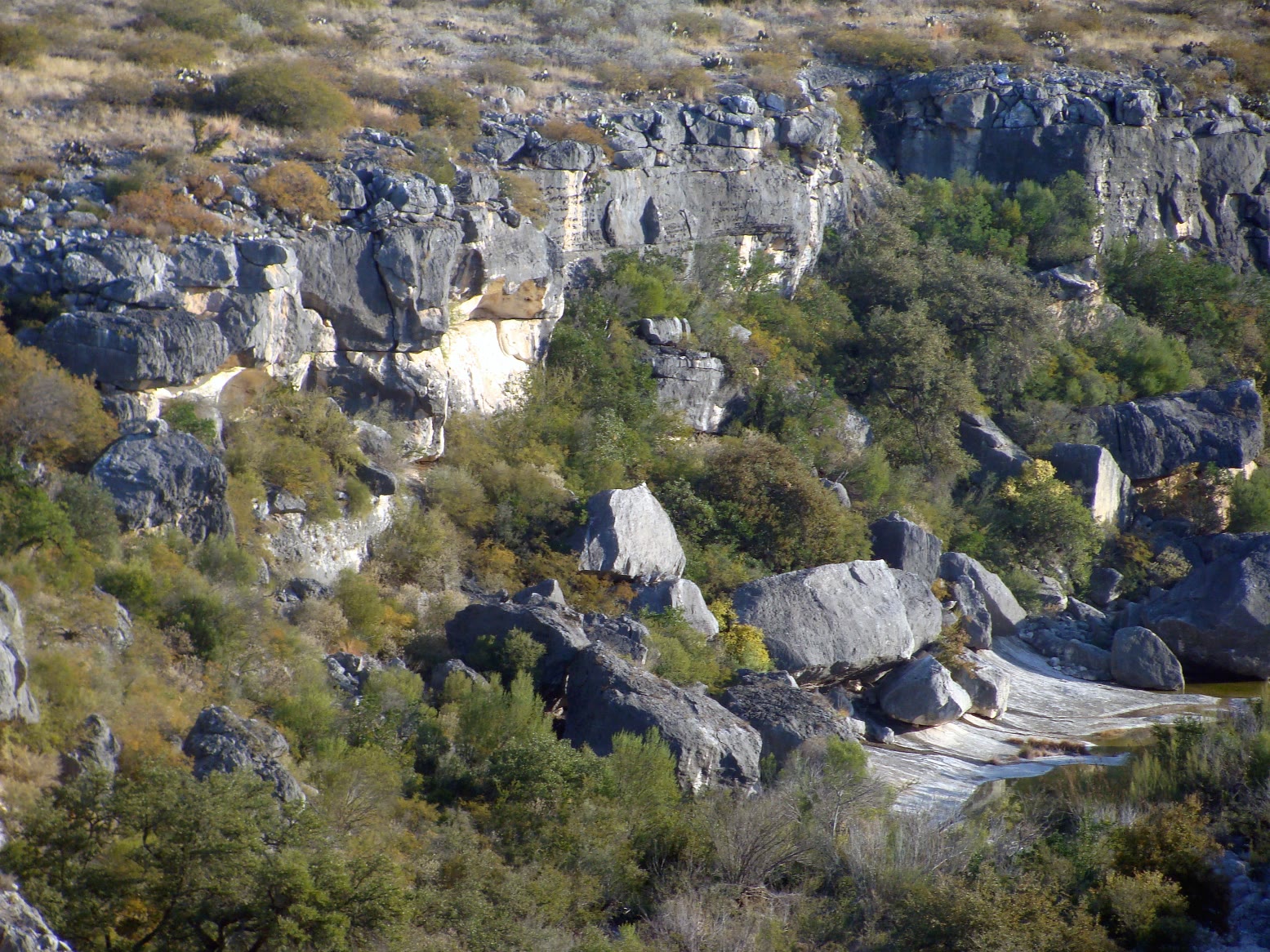 Layered cliffs and scrub in Seminole Canyon