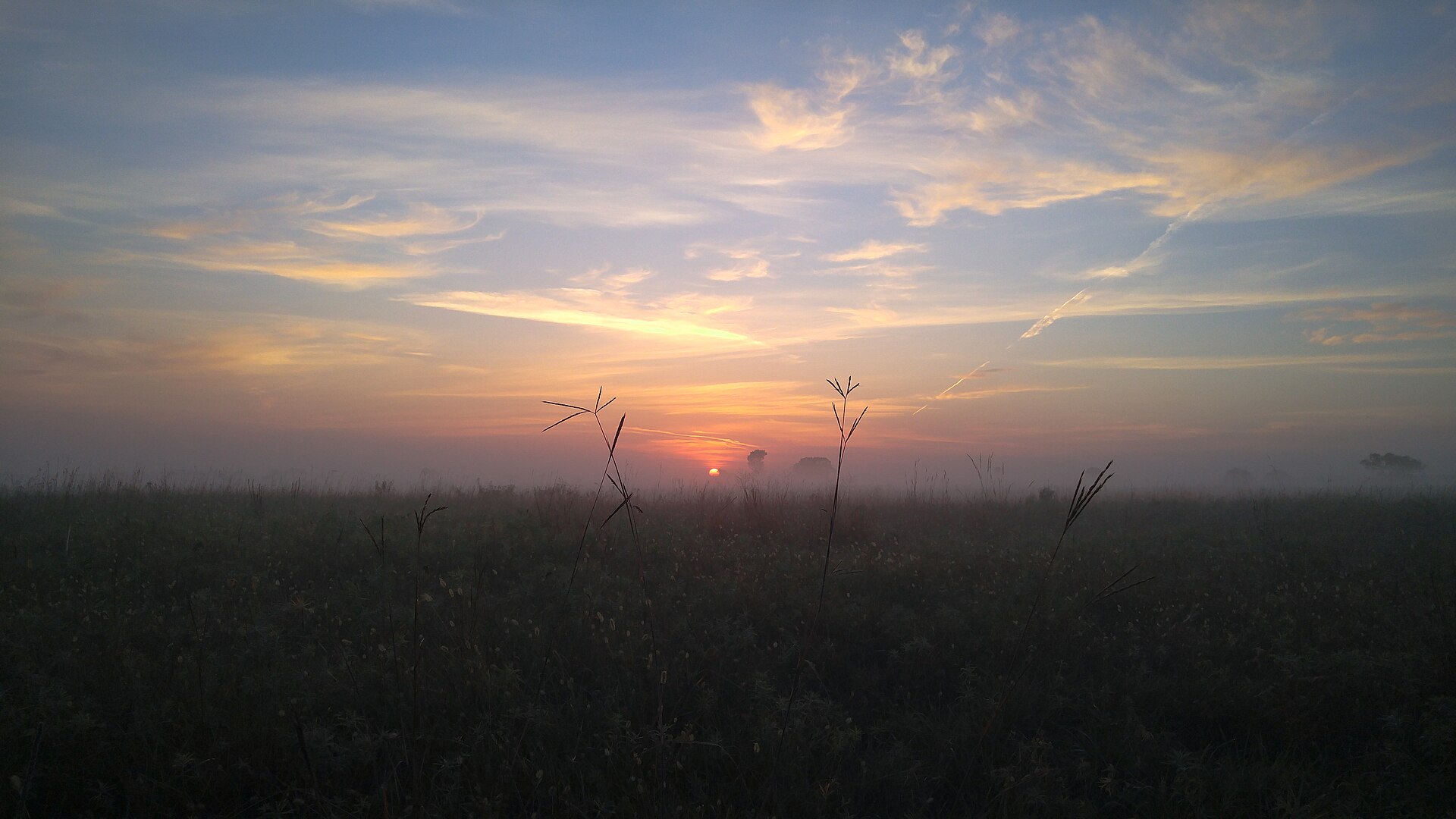 Dawn mist and tallgrass on Sheyenne National Grassland